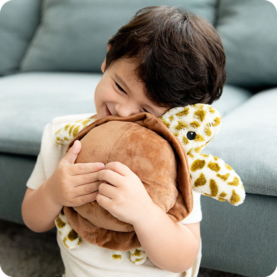 Turtle - Turtle Cozy Companion