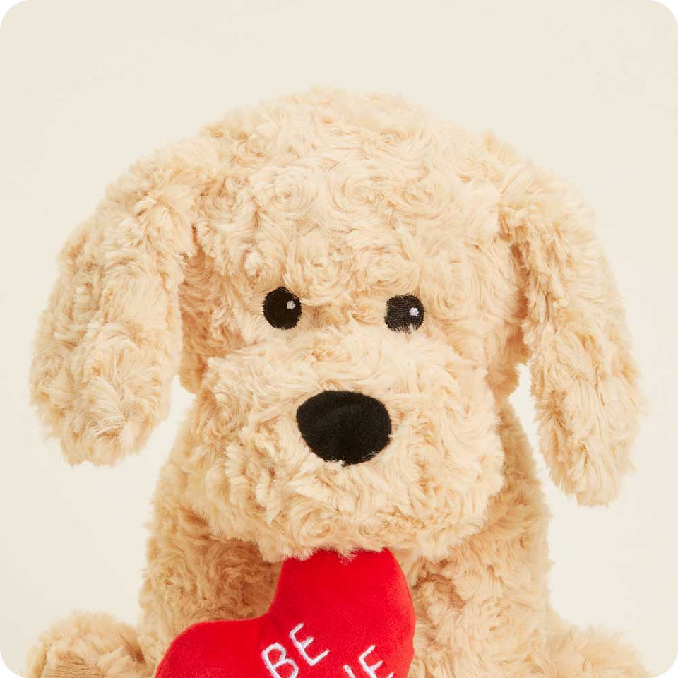 Be Mine Golden Dog - Valentine Golden Dog