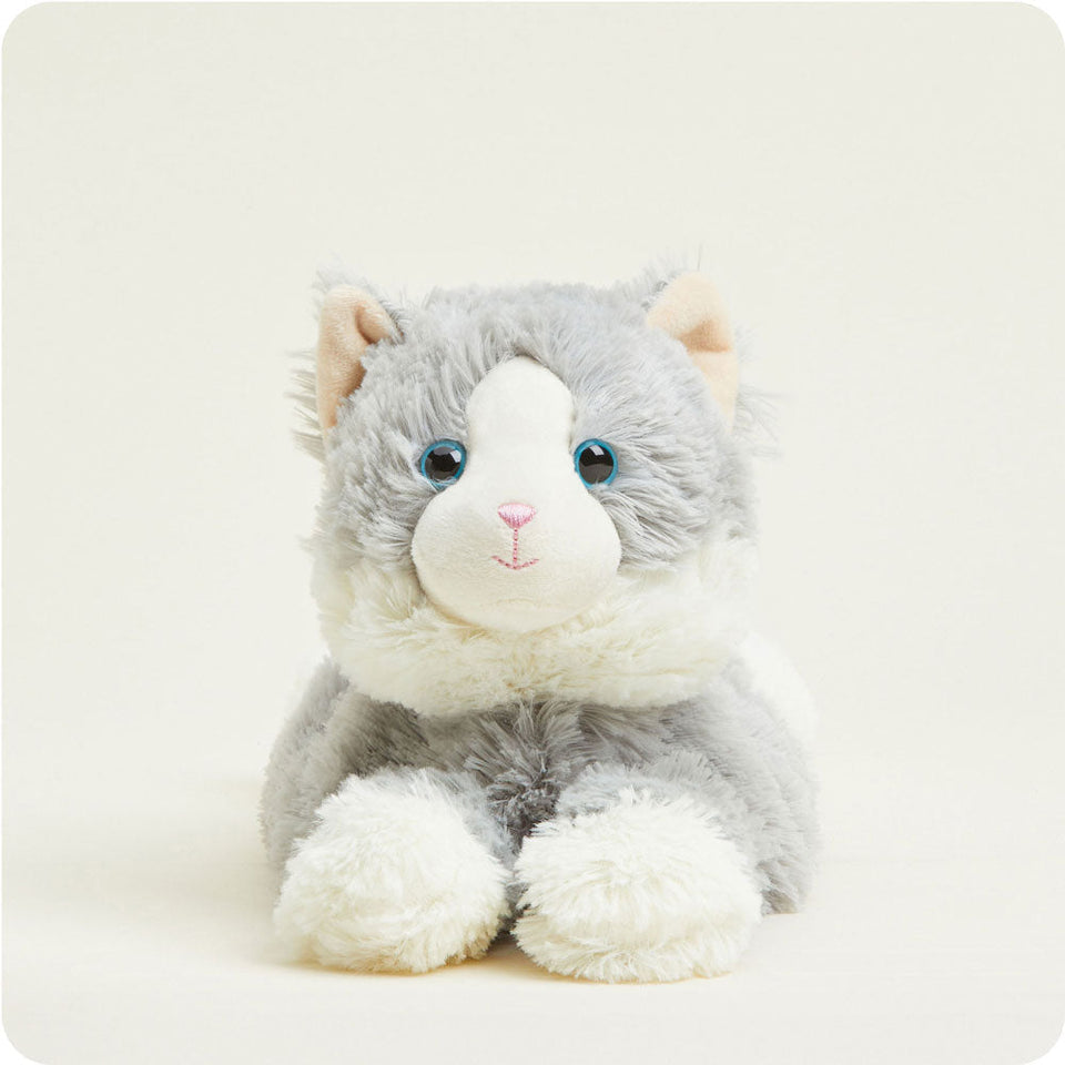 Laying Down Gray Cat - Resting Gray Cat