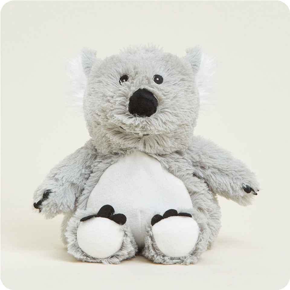 Koala - Koala Snuggle Favorite