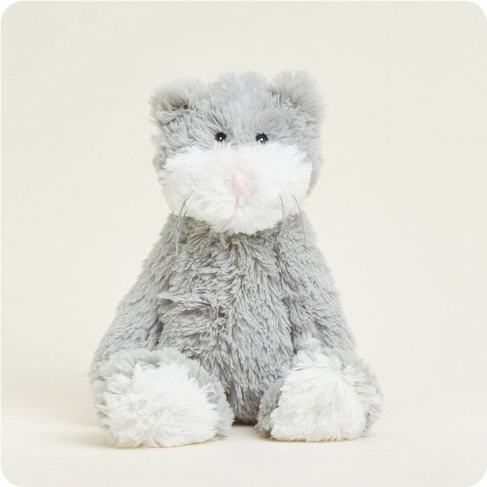 Cat - Cat Cozy Companion