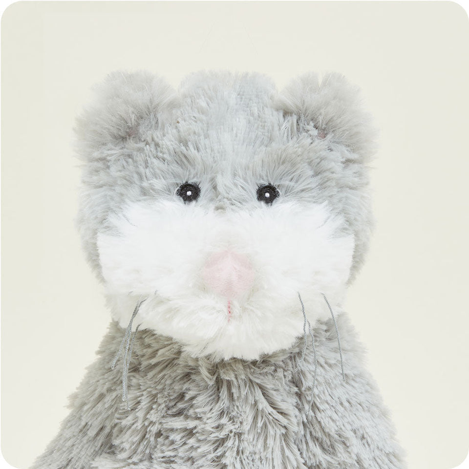 Cat - Cat Cozy Companion