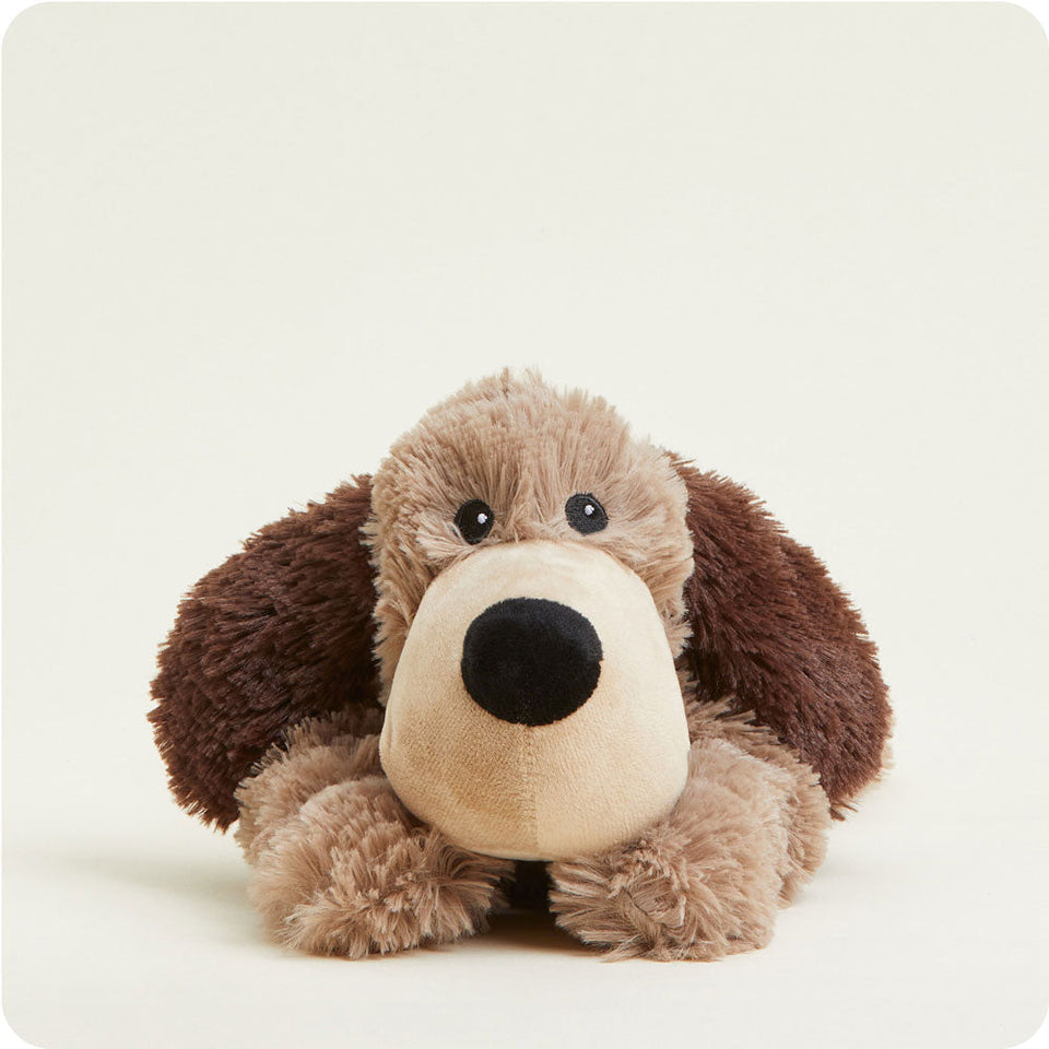 Brown Dog - Brown Dog Snuggle Favorite