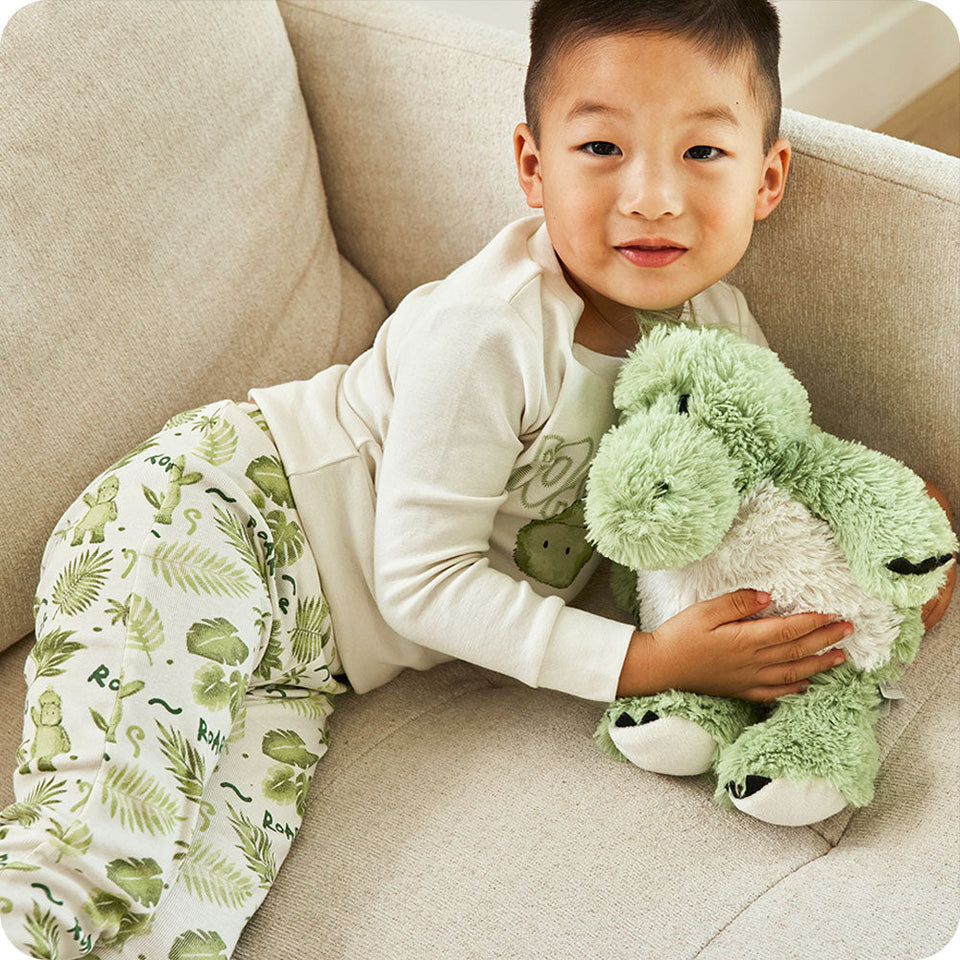 Green Dinosaur - Green Dinosaur Cozy Companion