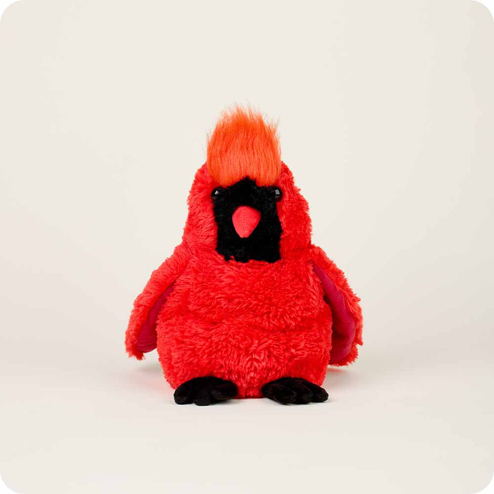 Cardinal - Cardinal Warm Friend