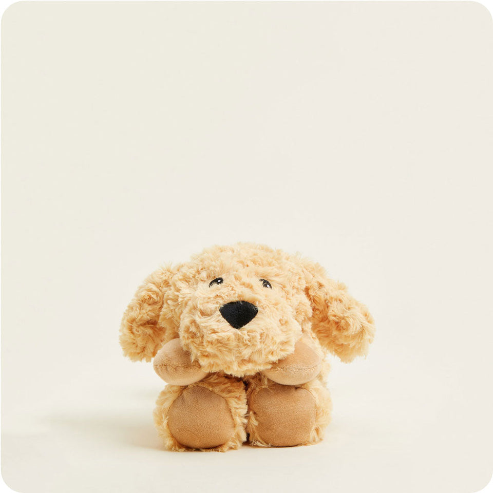 Golden Dog Wrap - Golden Dog Everyday Comfort