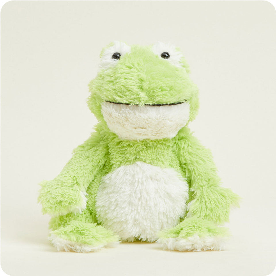 Frog - Frog Sleepy Friend