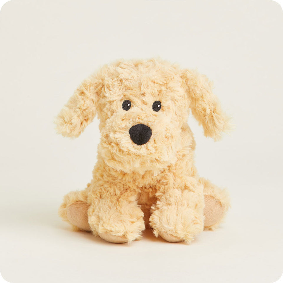 Golden Dog Junior - Golden Dog Little Buddy