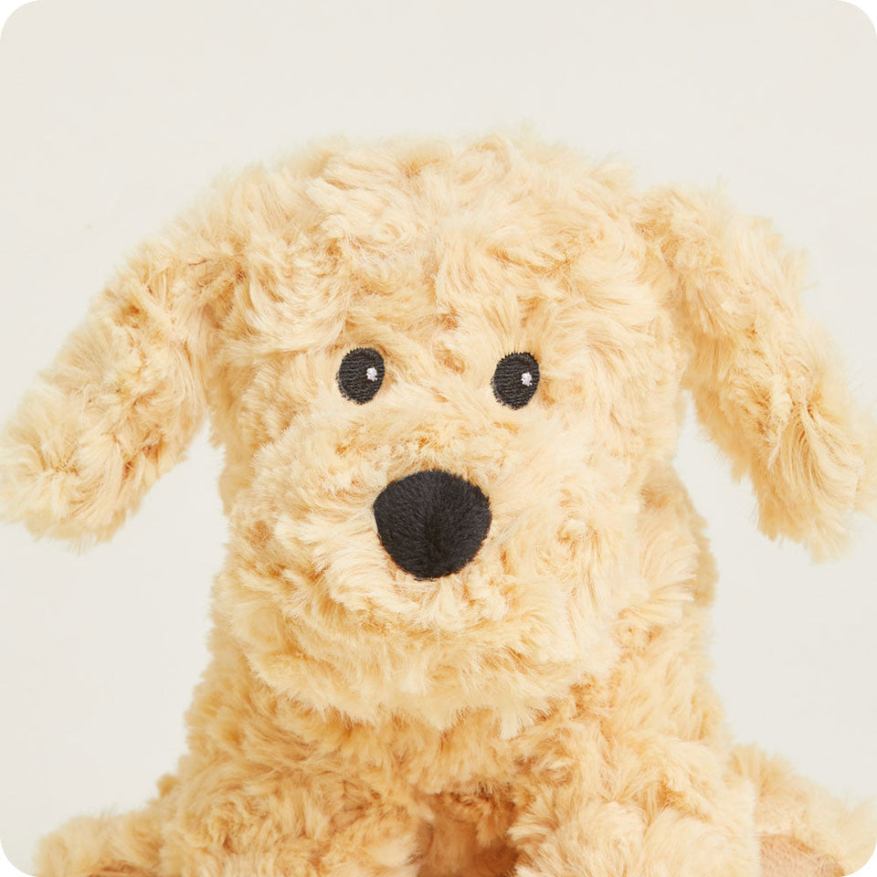 Golden Dog Junior - Golden Dog Little Buddy