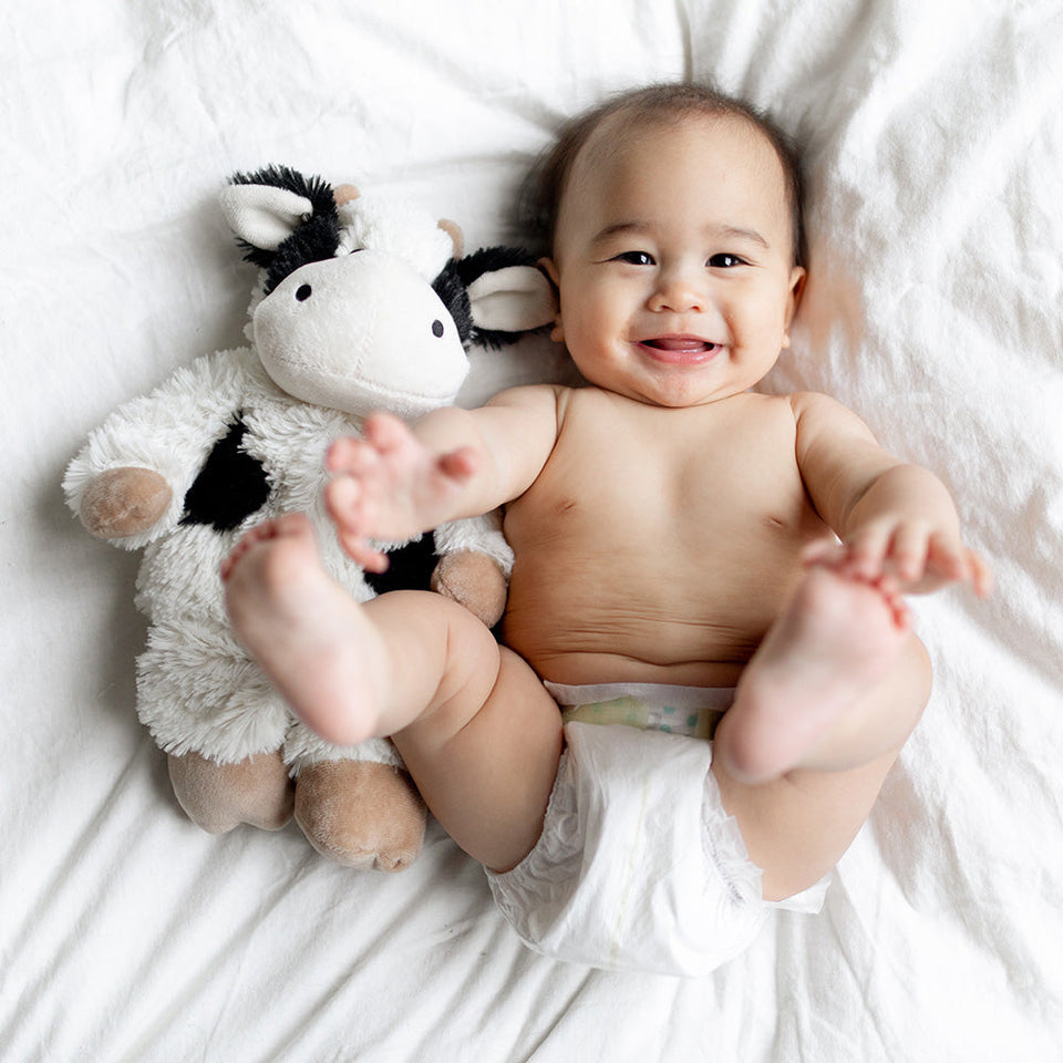 Black and White Cow - Creative Signature Warmies Highlight