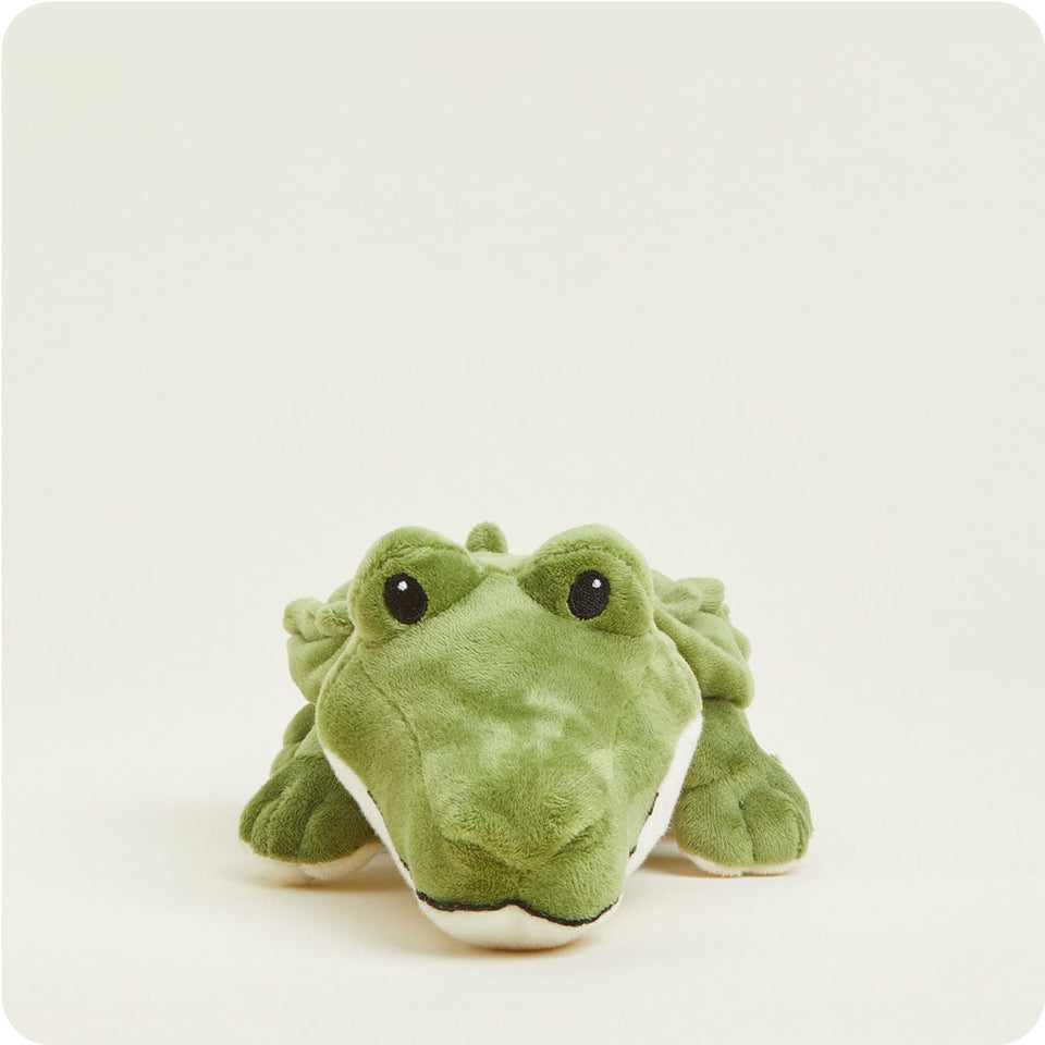 Alligator Junior - Alligator Little Buddy