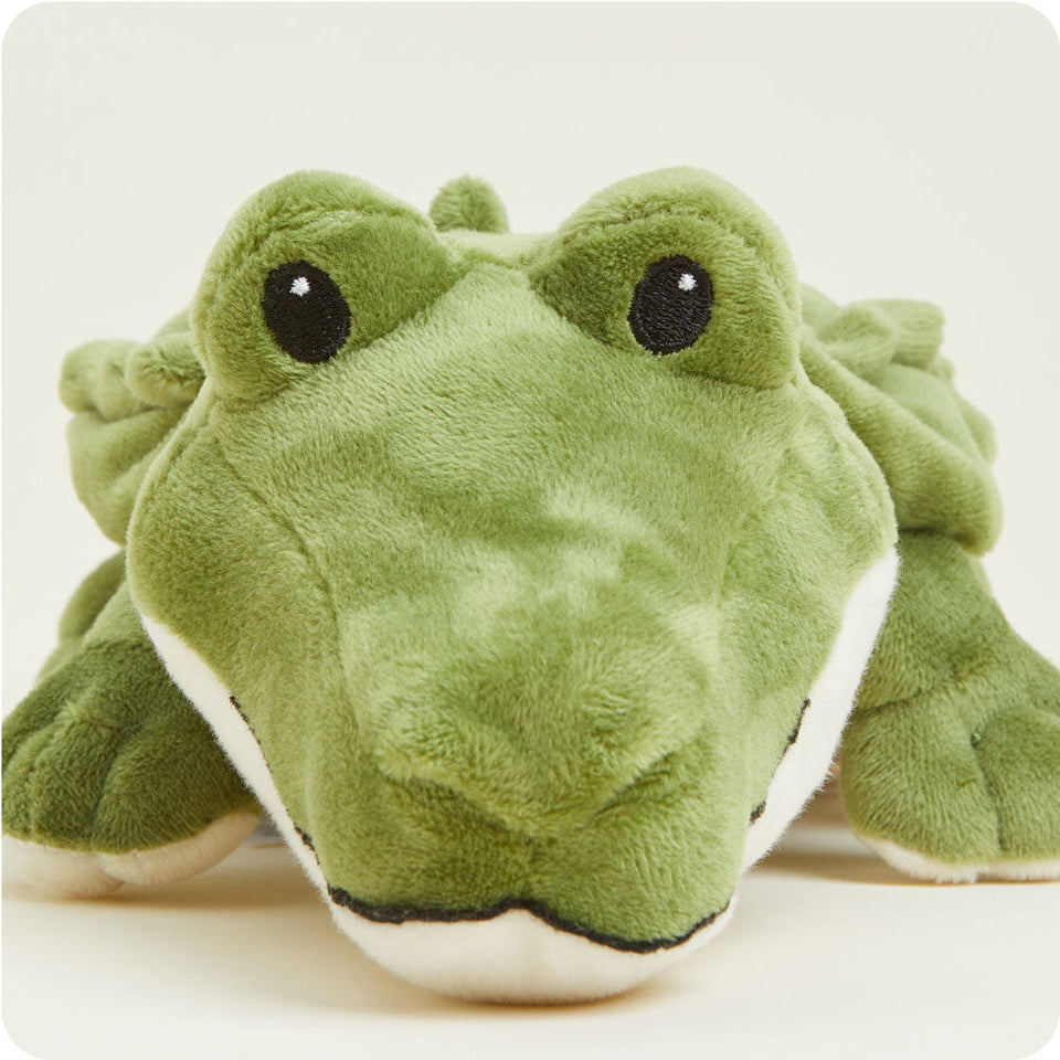 Alligator Junior - Alligator Little Buddy
