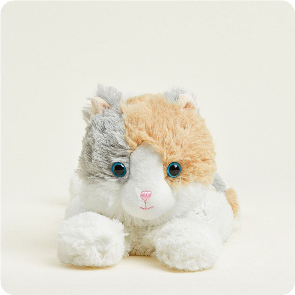 Calico Cat - Calico Cat Sleepy Friend
