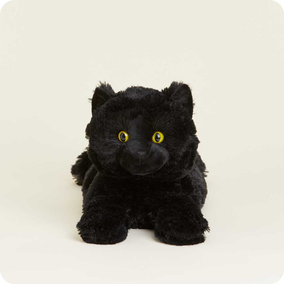 Black Cat - Black Cat Cozy Companion