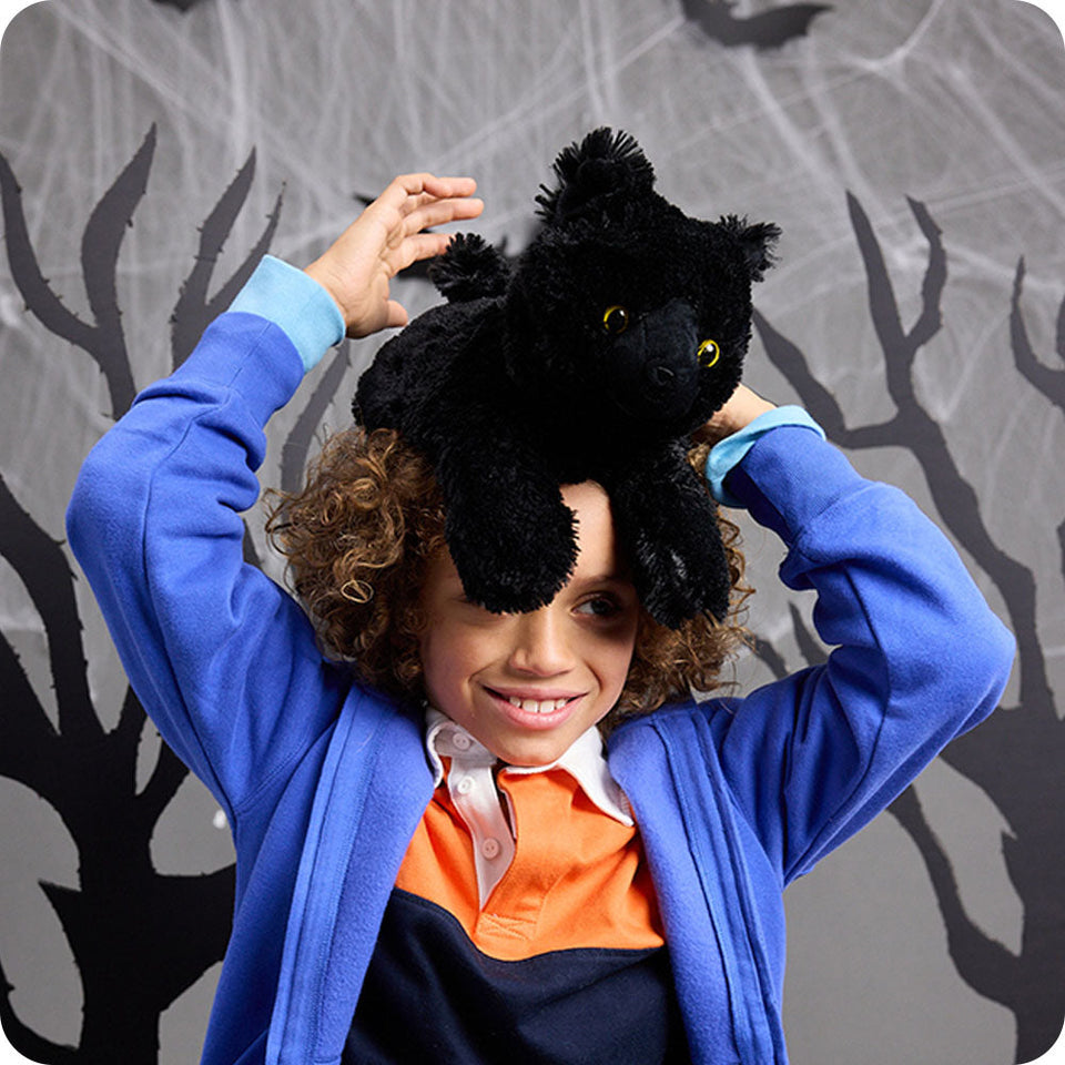Black Cat - Black Cat Cozy Companion